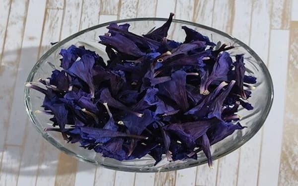 تصویر 4 از قیمت گیاه دارویی گل گاوزبان + خرید باور نکردنی